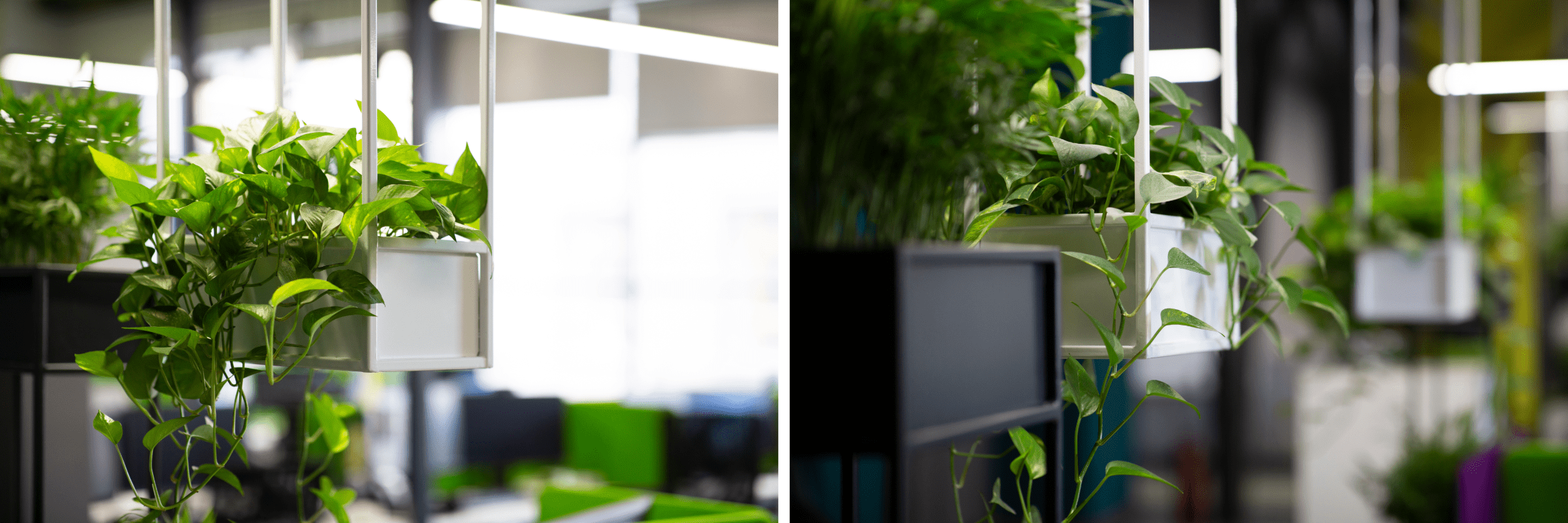 improve-staff-wellbeing-at-work-gallery-image-1
