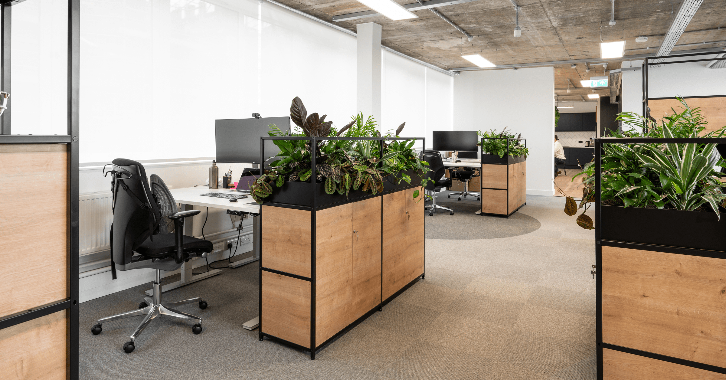 office-plants-can-help-attract-and-retain-top-talent-1