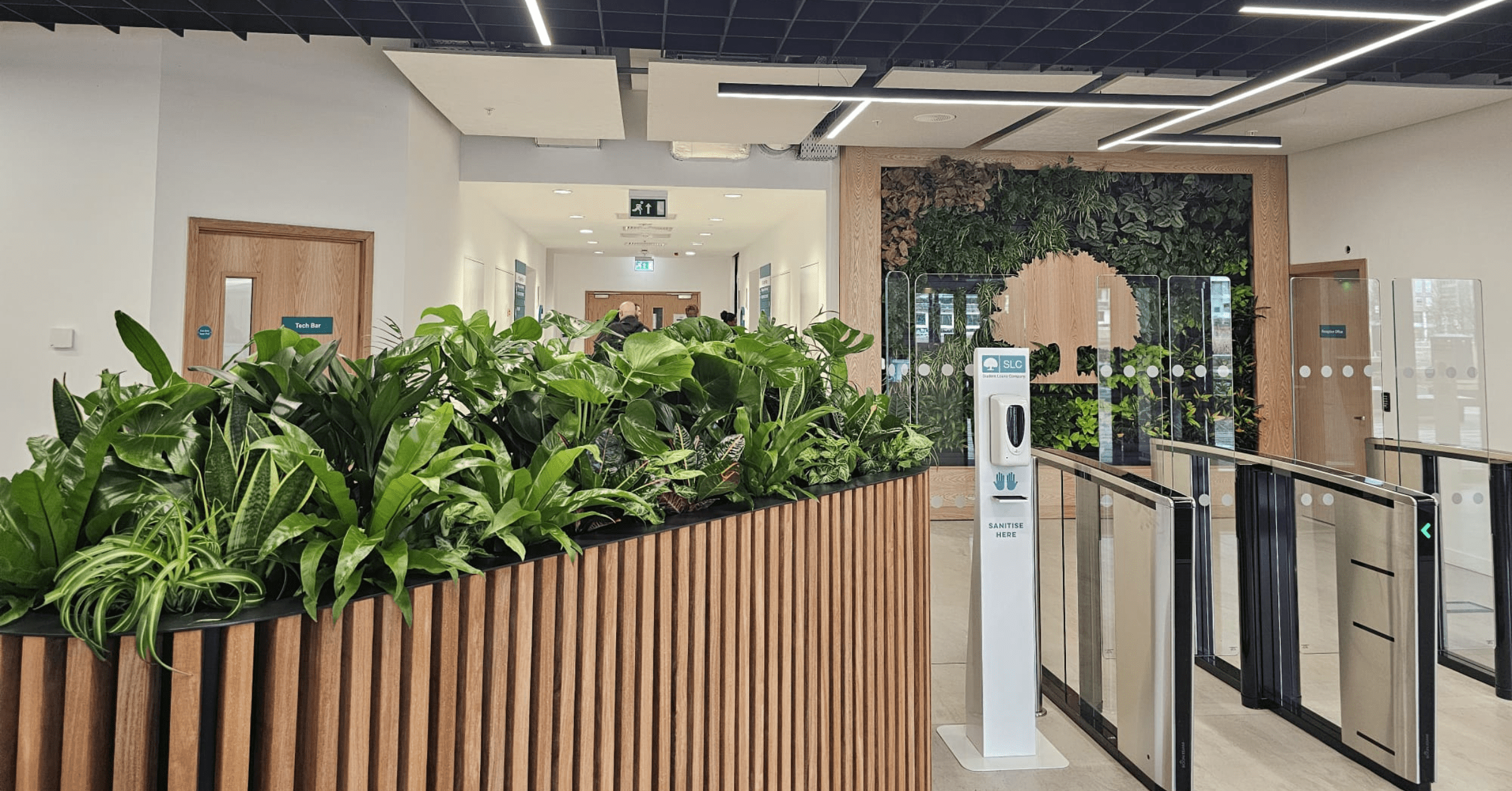 how-office-plants-can-help-attract-and-retain-top-talent-3