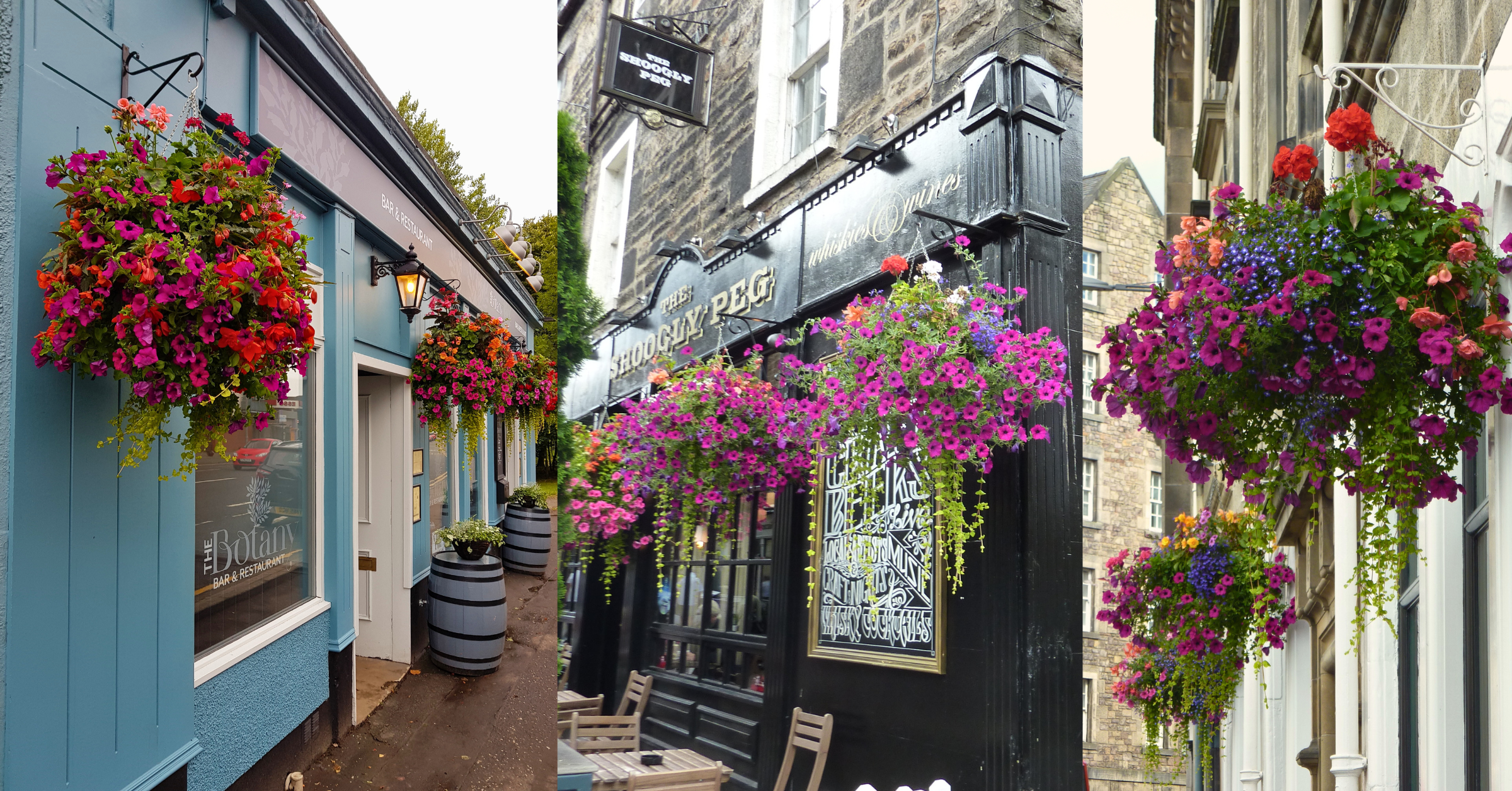 commercial-hanging-baskets-2