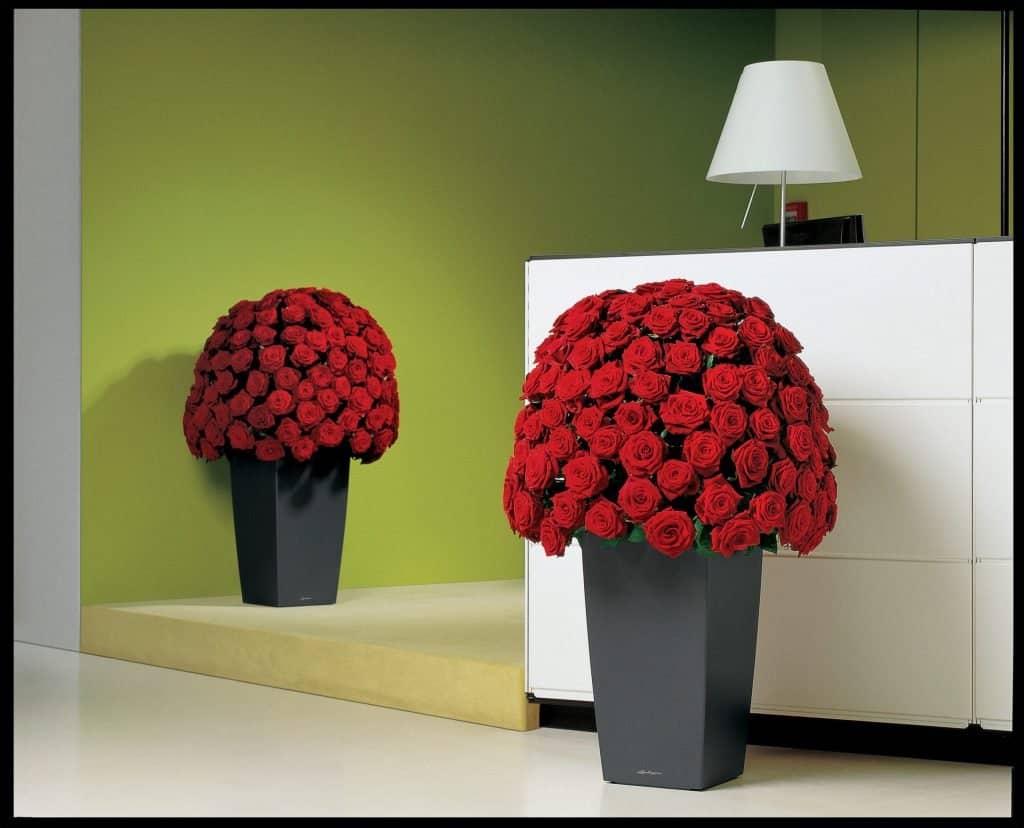 How-to-impress-office-visitors-4