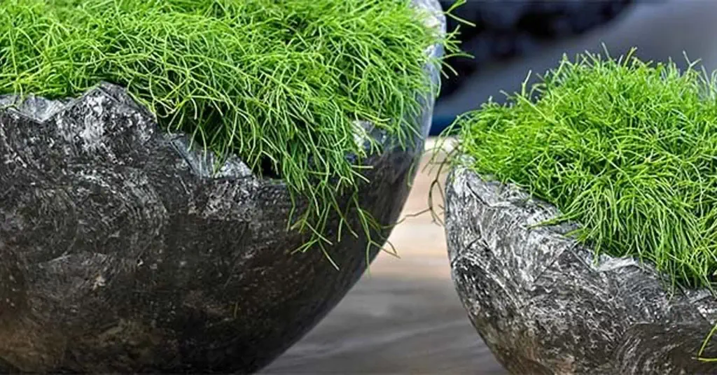 #makeourplanetgreatagain-1