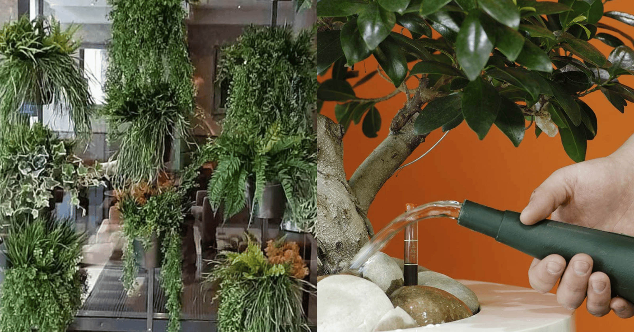 office-plant-maintenance-2