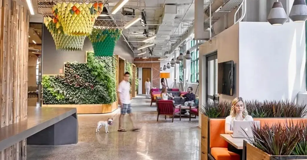 office-designs-with-plant-displays-1