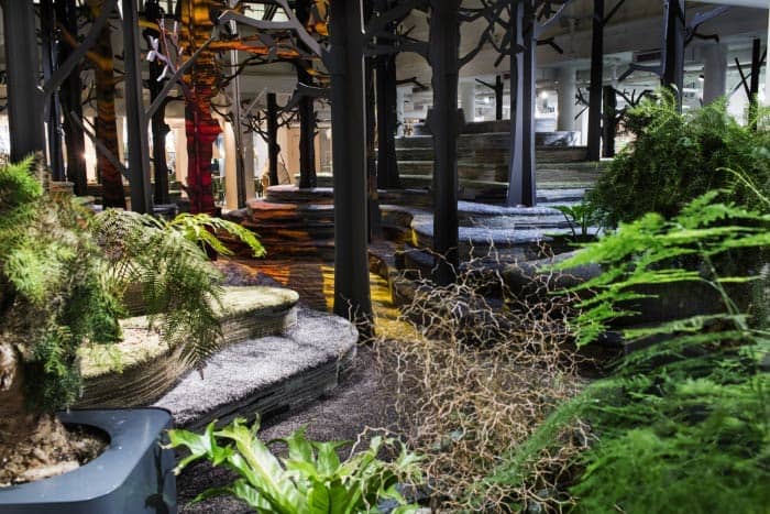 office-designs-with-plant-displays-2