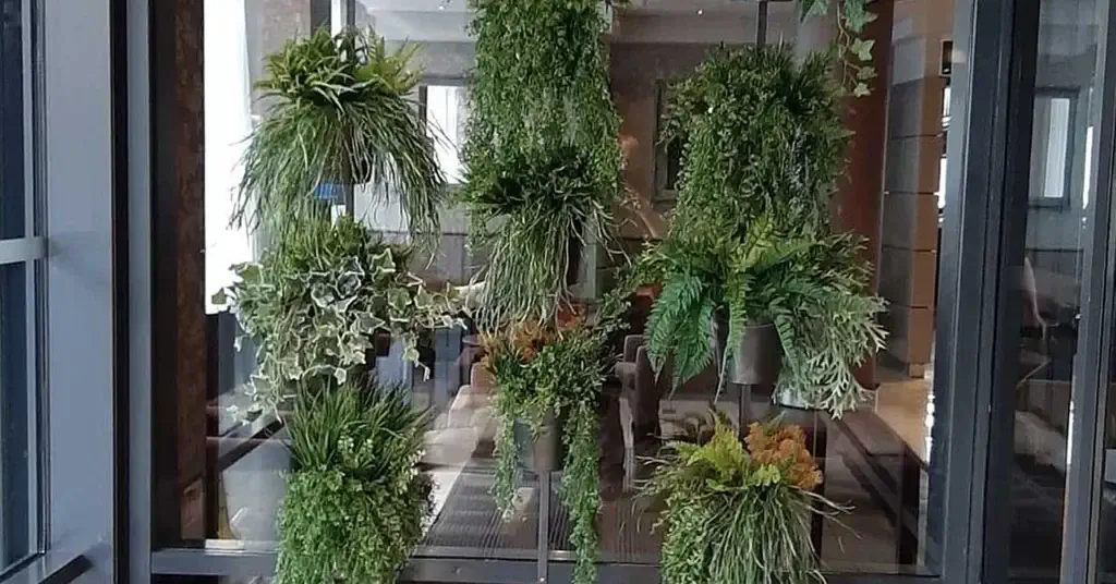 office-plant-maintenance-1