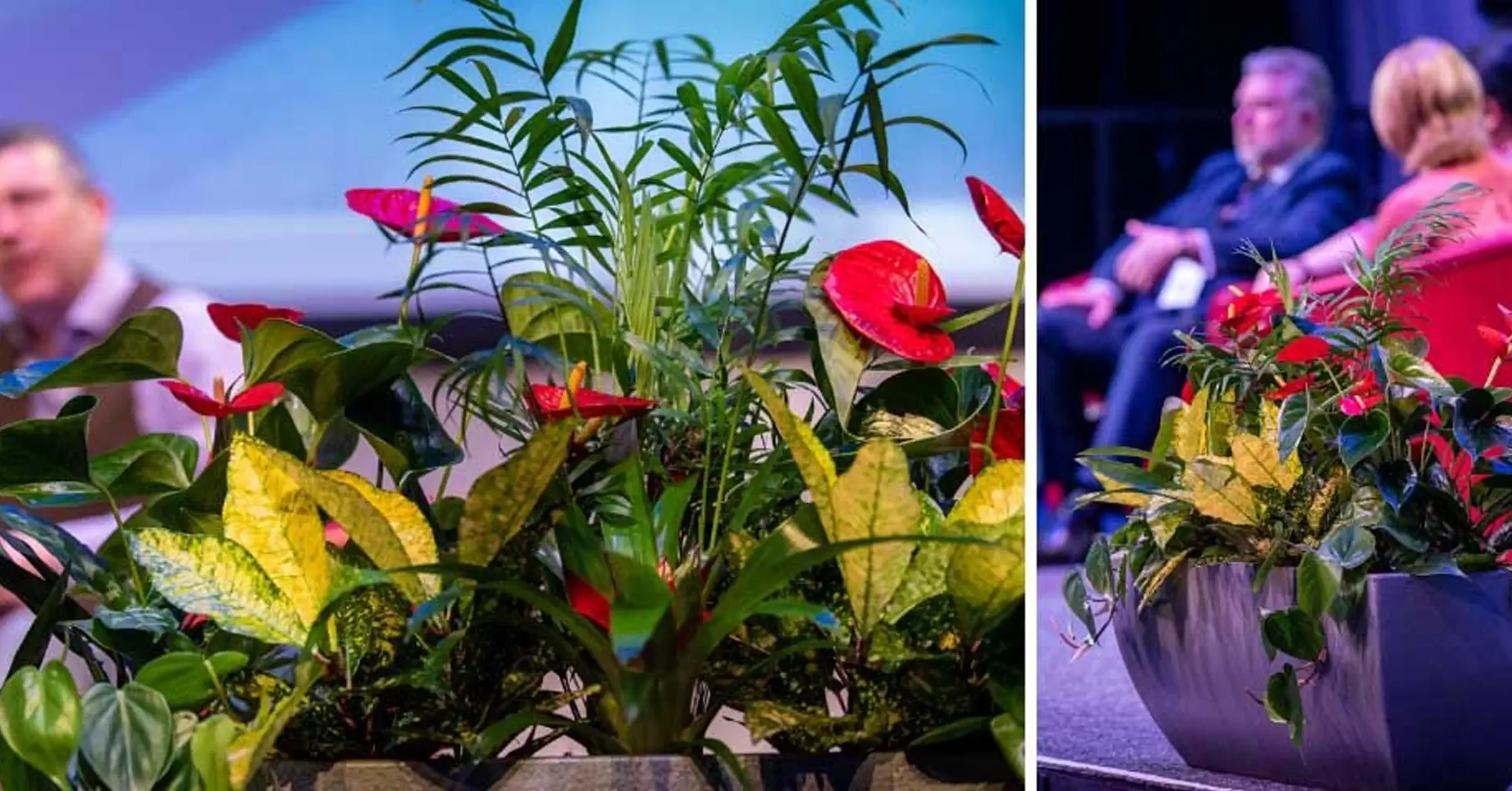 Scottish-Tourism-Alliance-Conference-2020 (1)