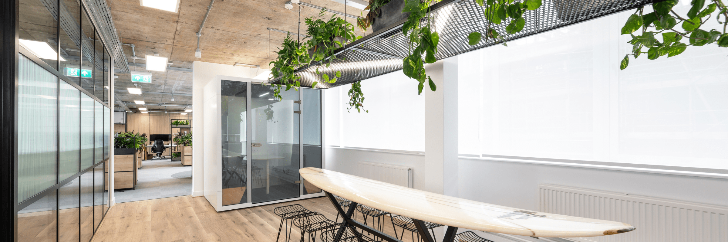 benefits-of-plants-in-the-workplace-image-3