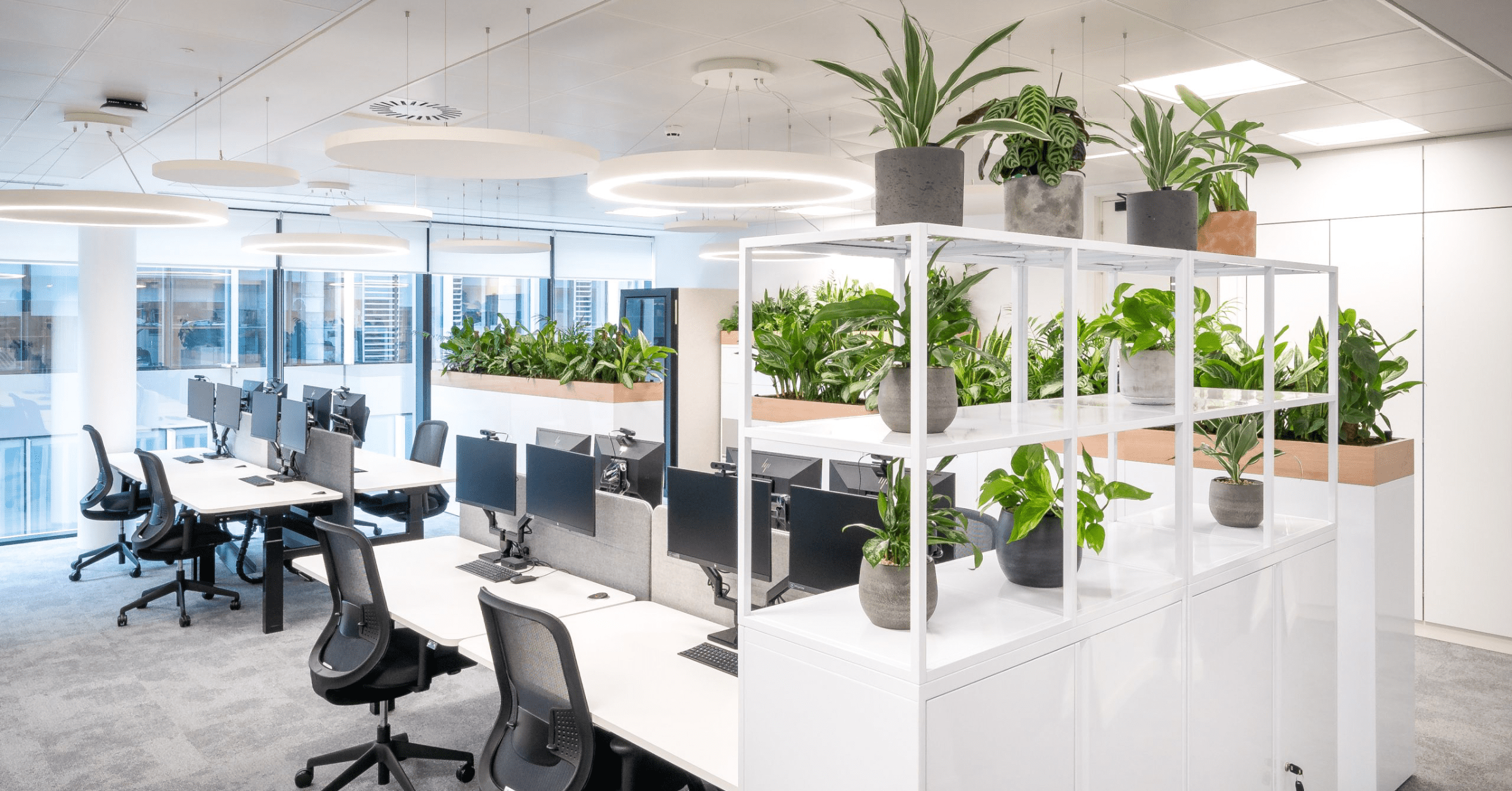 benefits-of-plants-in-the-workplace-featured-image-1