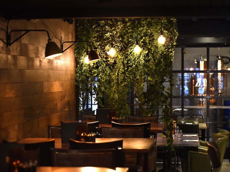 St Andrews gastropub Rogue’s speakeasy style enhanced by lush artificial greenery draped from lights, walls and ceilings