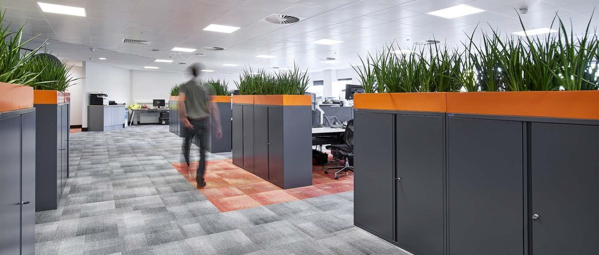 Bespoke coloured-matched cabinet top troughs mass-planted with live Sansevieria Kirkii Friends in a modern Edinburgh office