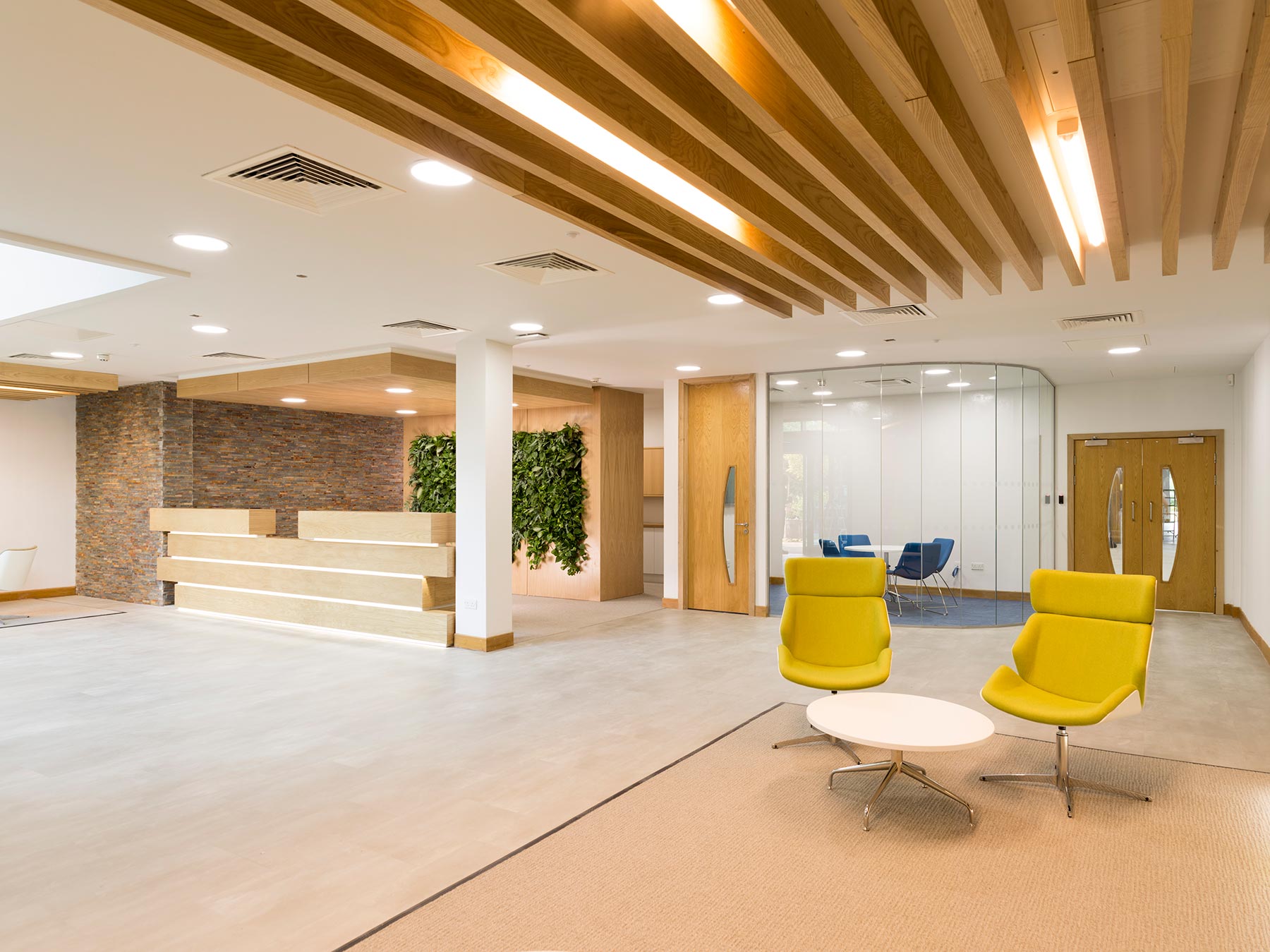 Designer office reception area with a feature living wall backdrop to the reception desk filled with lush live plants