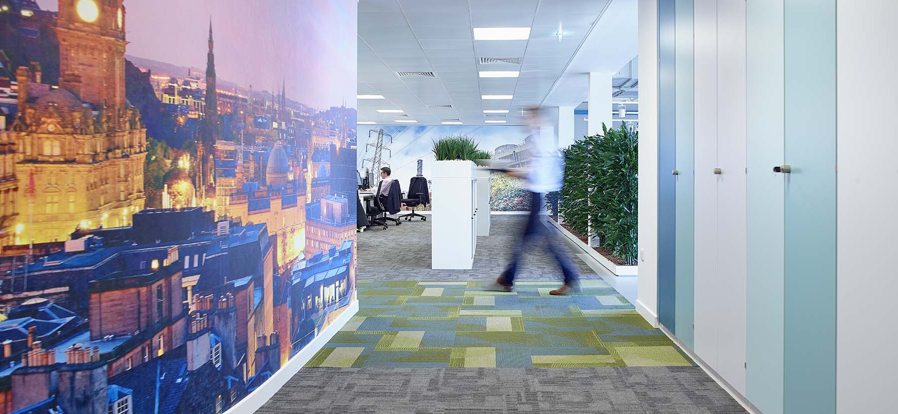 Modern Edinburgh office plants including cabinet top live displays and bespoke screen of real plants set into the floor