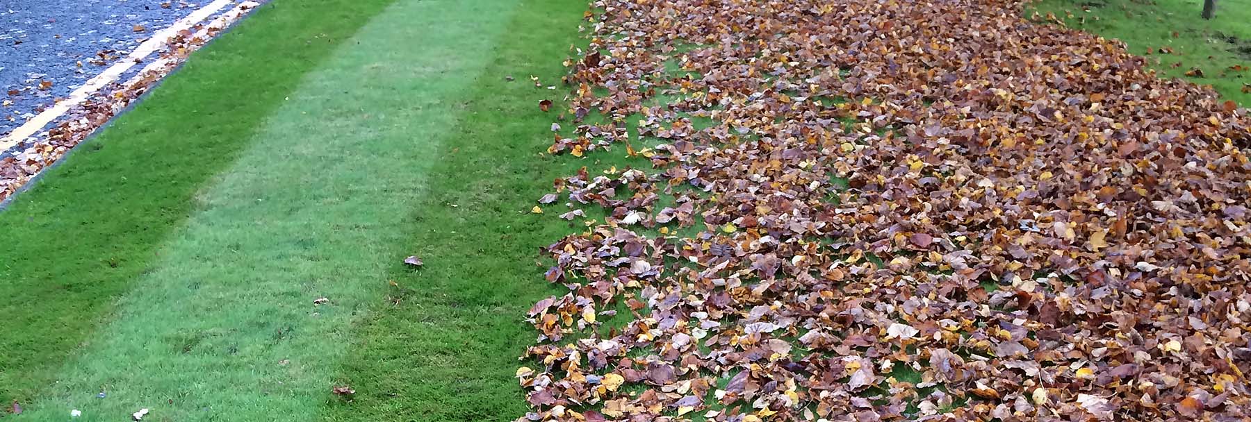 Autumn leaf clearing operation revealing lush green striped lawns as part of the Benholm exterior landscaping services