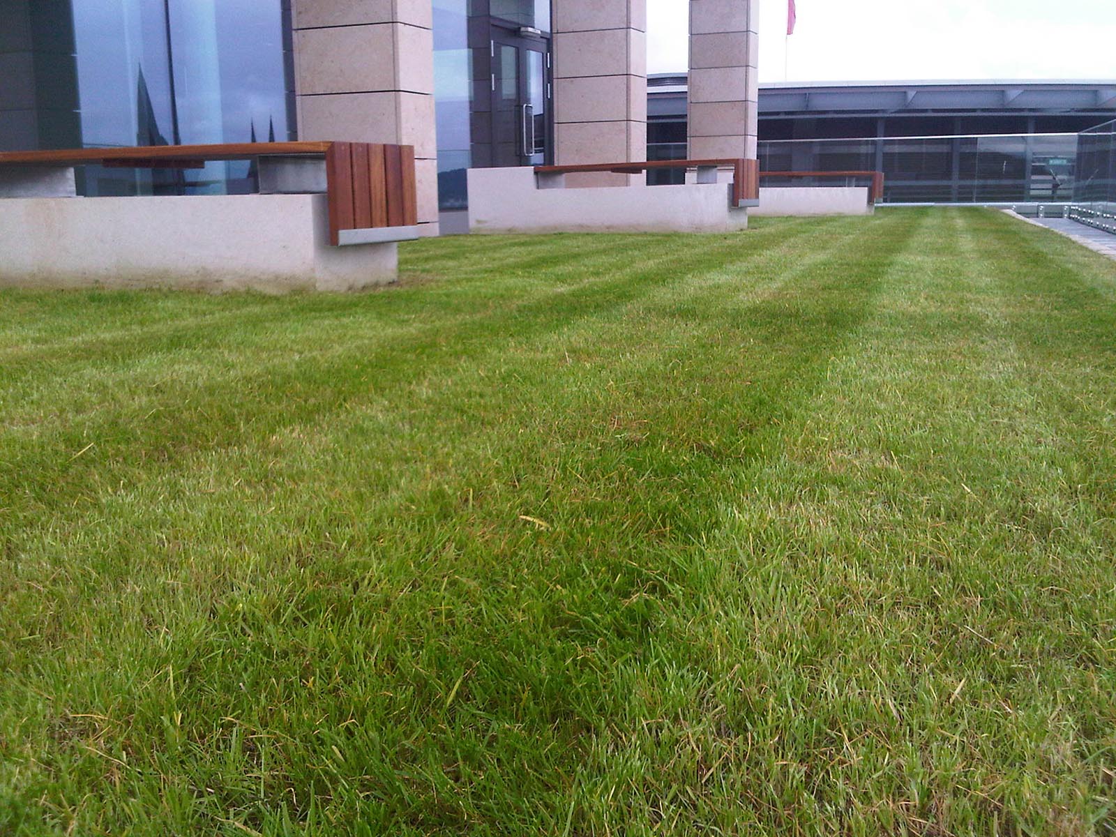Edinburgh city centre rooftop garden with freshly cut grass – part of our high-quality exterior landscaping service