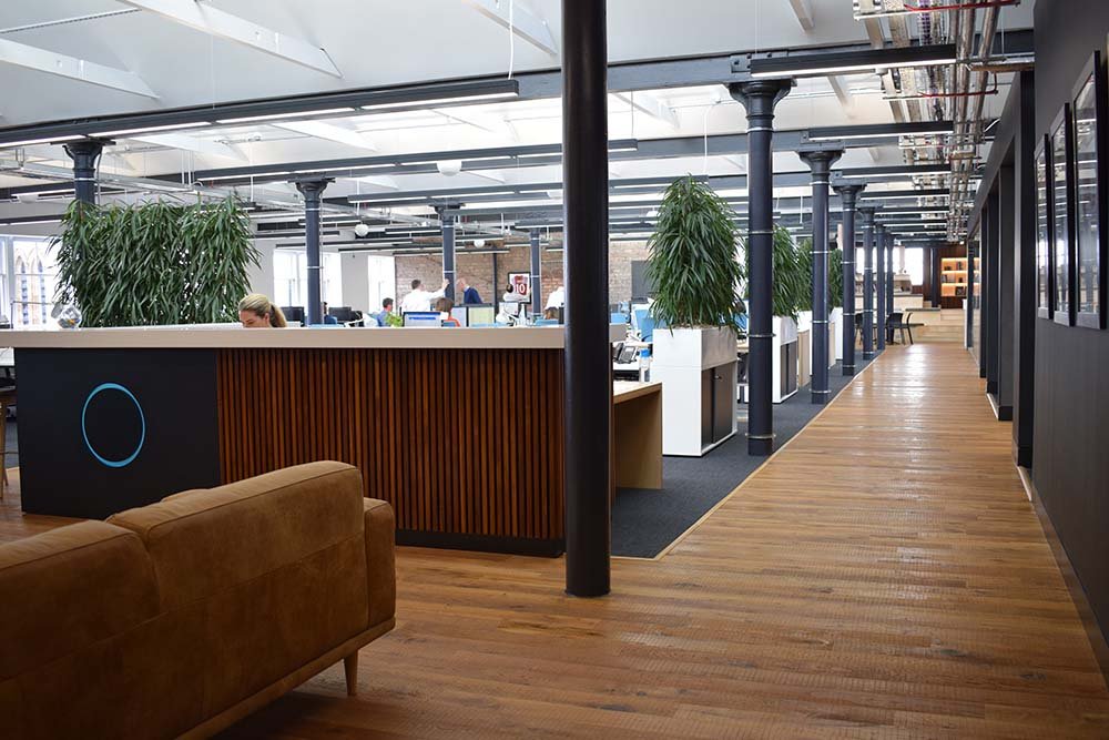 Modern Glasgow Architect’s studio where live cabinet top planters with tall Ficus Alii plants provide zoning and privacy