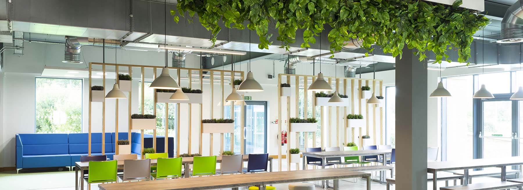 Lush artificial greenery hanging from the ceiling and planters built into timber slatted screen zone breakout space