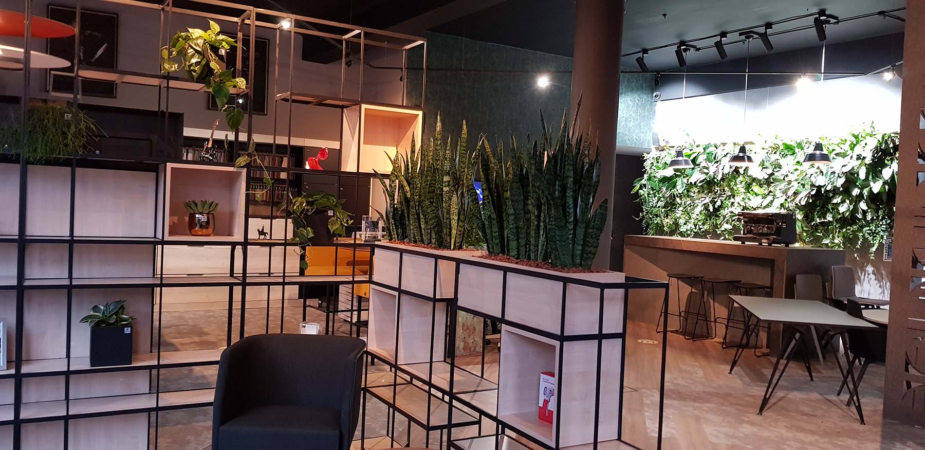 Modern office space with black grid shelving dressed with live plants including sansevieria. A lush living wall in the background