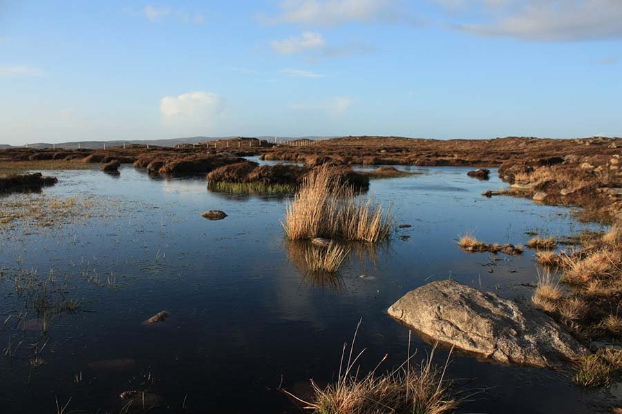 Scottish natural peatlands under a blue sky in highland Scotland showing the beauty of a peat bog habitat and ecosystem