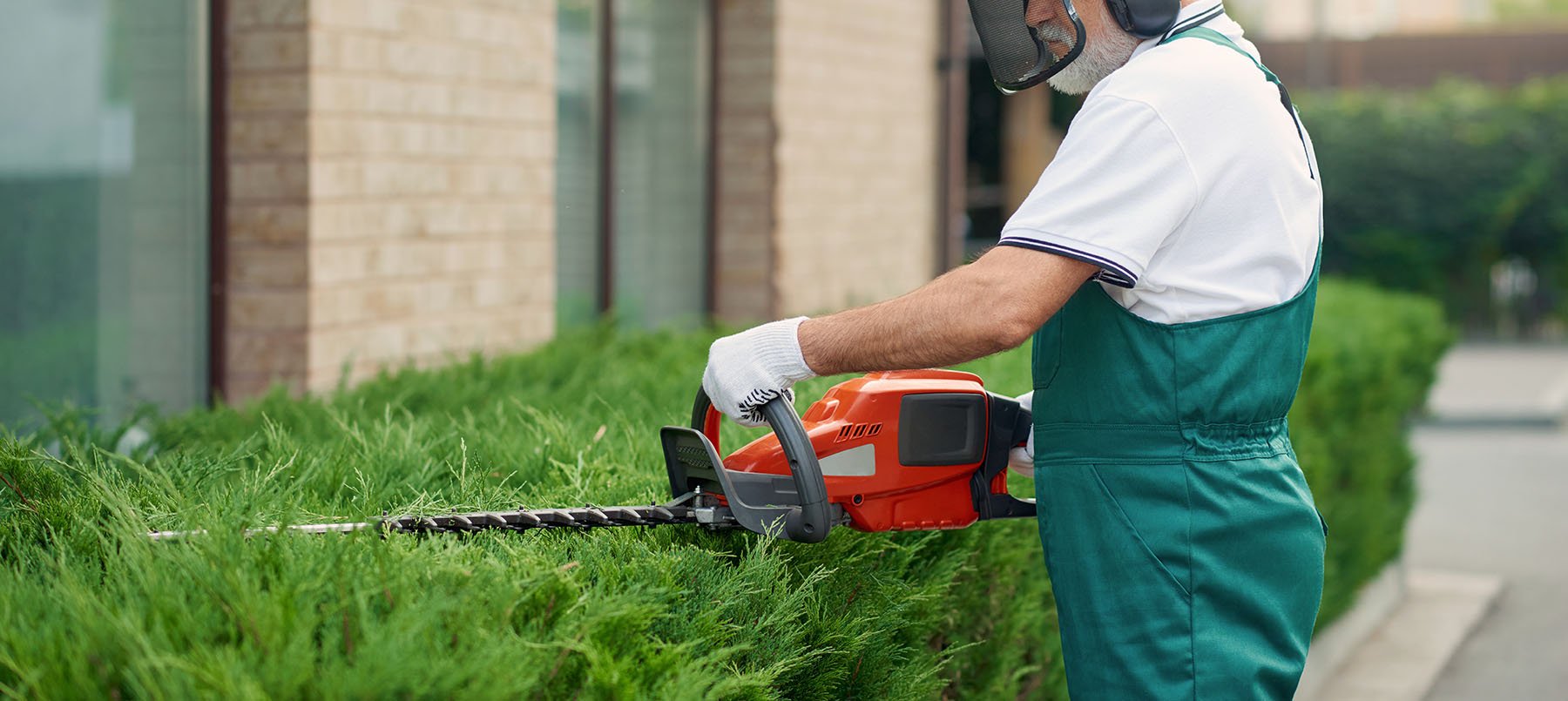 Professional exterior landscaper trimming a hedge to create a neat, well-maintained appearance to impress visitors