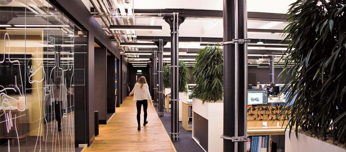 360 Architecture office with tall modern plants in cabinet top planters creating a separate walkway for staff