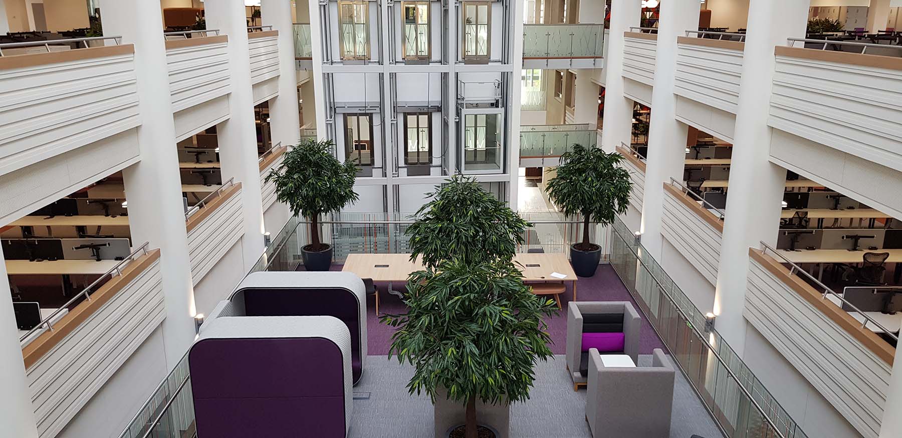 Huge artificial Ficus Alii trees create an attracitve highly visual green oasis in the centre of a modern office atrium