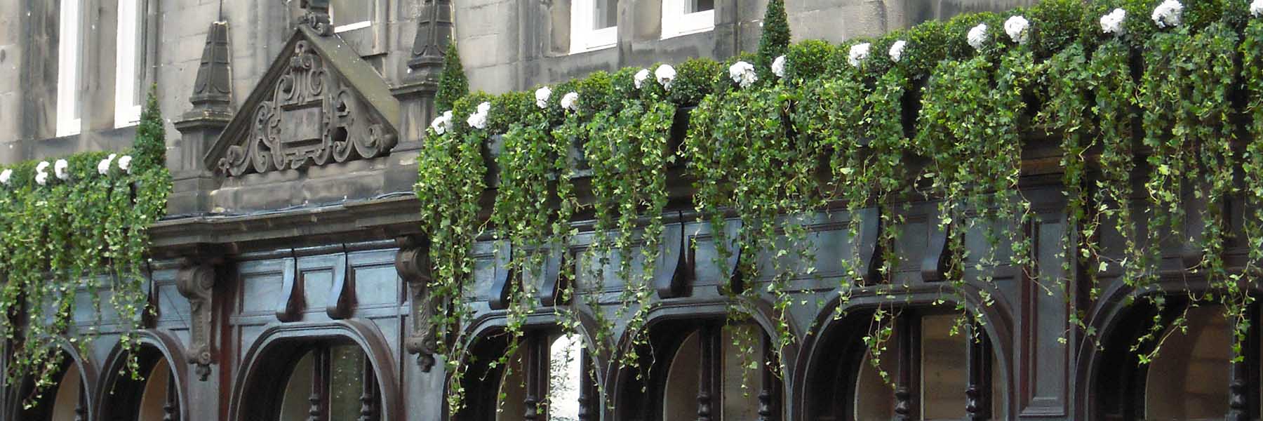 Fraser Suites Edinburgh decorated with high level live Buxus topiary and trailing ivies interspersed with white flowers, Outdoor Dining