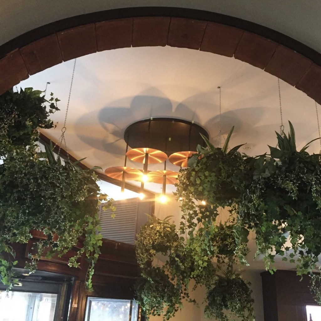 Live hanging plants suspended from the ceiling filled with ivy and mixed greenery surrounding a light fixture