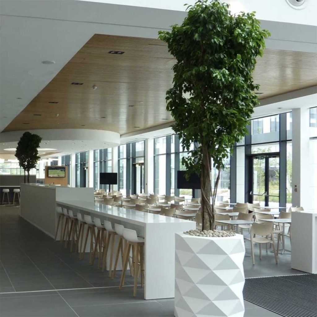 A striking tall geometric pattern planter with a tall live plant in a modern open plan office communal area