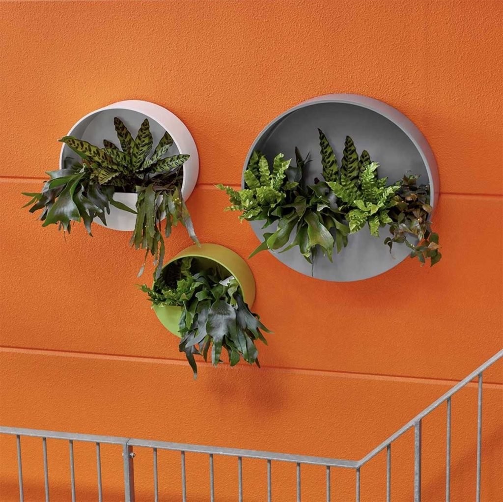 Three Circle wall planters in assorted sizes and colours are planted with small mixed artificial plants to create a feature on the staircase wall