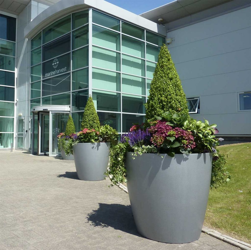 Topiary plants in oversized grey planters with plants and pops of colour lead to the entrance of a modern building