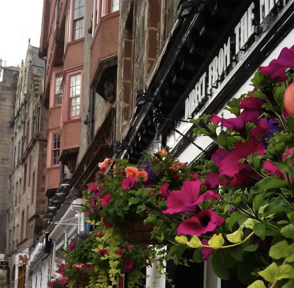 Hanging baskets in full bloom filled with pink and purple blooms making a restaurant exterior pop on a city street