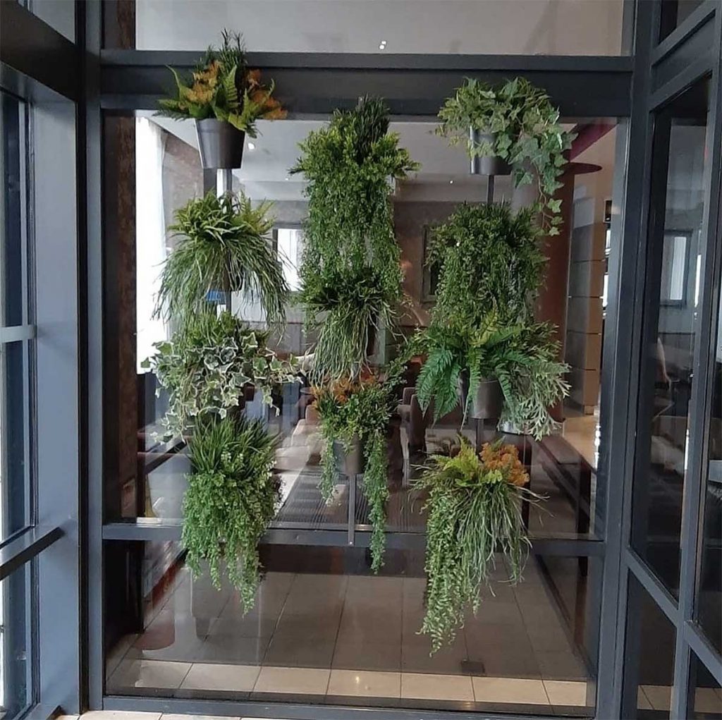 Mixed plants in pots hung vertically in front of glass providing a screen between the hotel entrance and lobby
