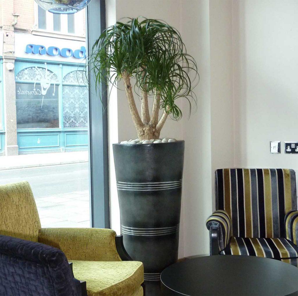 Single planter with a live leafy plant topped with white pebbles bring life to a communal seating area