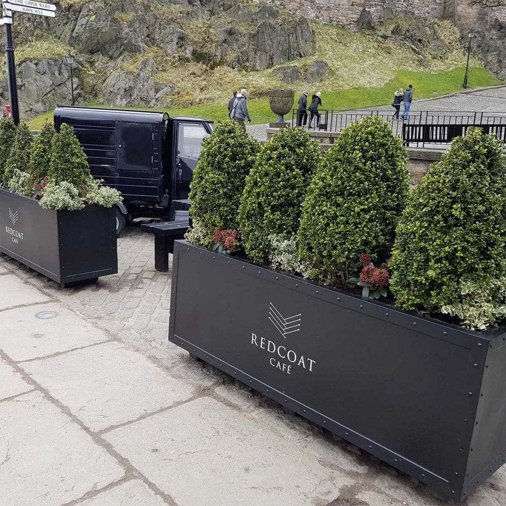 Black metal finish troughs filled with topiary trees and greenery with pops of red outside the Redcoat café, Edinburgh