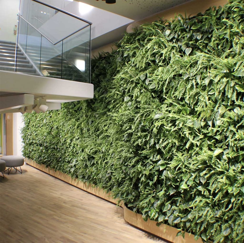A curved living wall full of lush leafy plants for a full effect making a feature out of an office stairwell