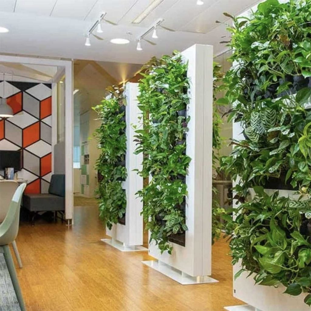Living wall panels filled with plant life on castors to divide and separate open plan space in a modern office space