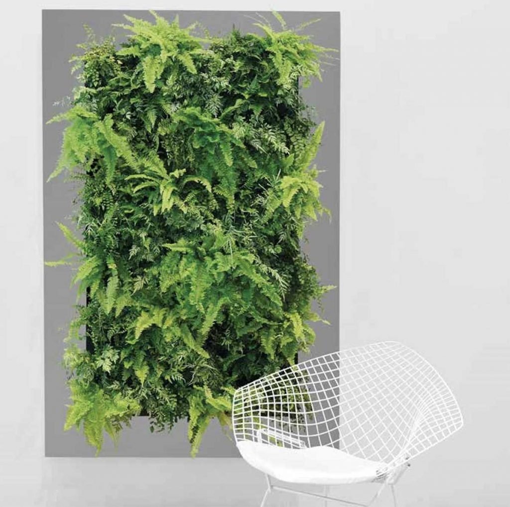 Grey Living wall panel filled with ferns and mixed greenery for a 3d effect in front of a white metal chair