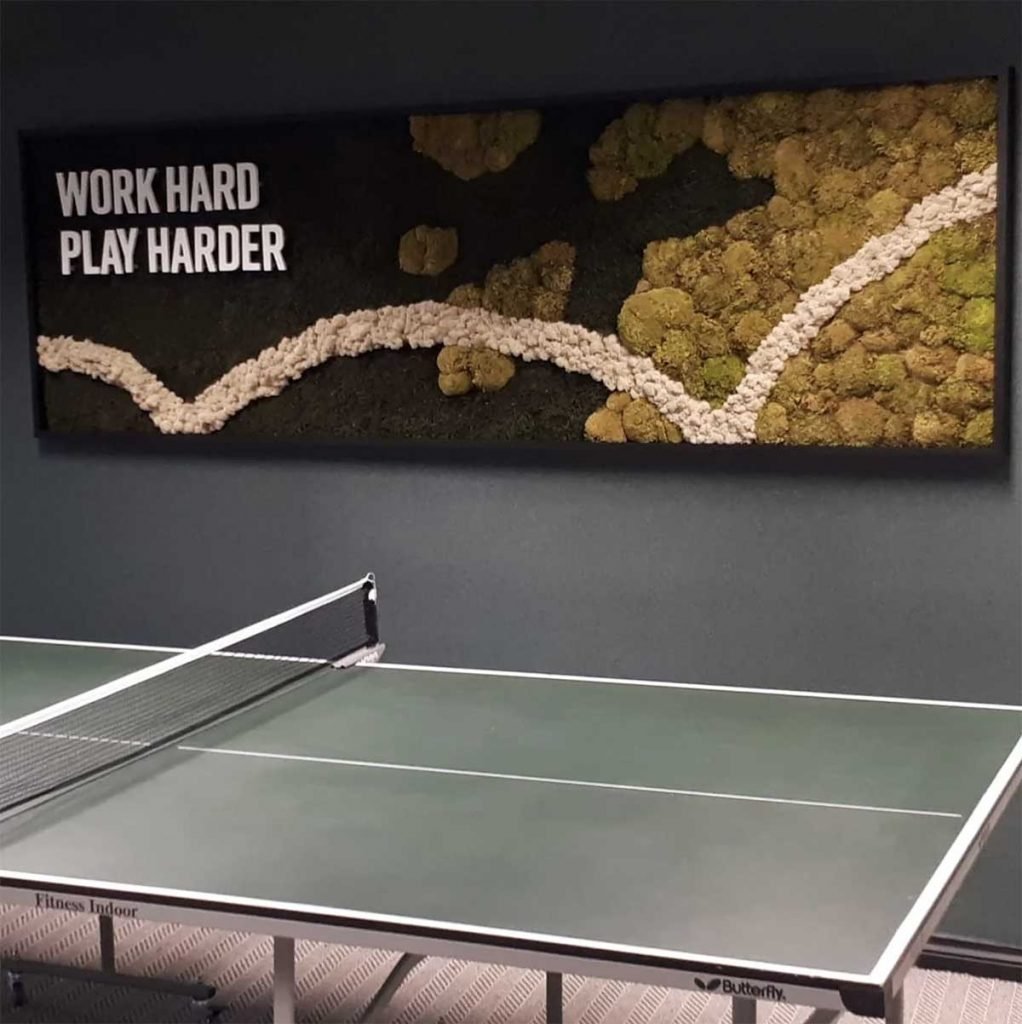 Work Hard Play Harder sign set in a framed Nordik Moss panel with a white bounce flash for an office breakout room