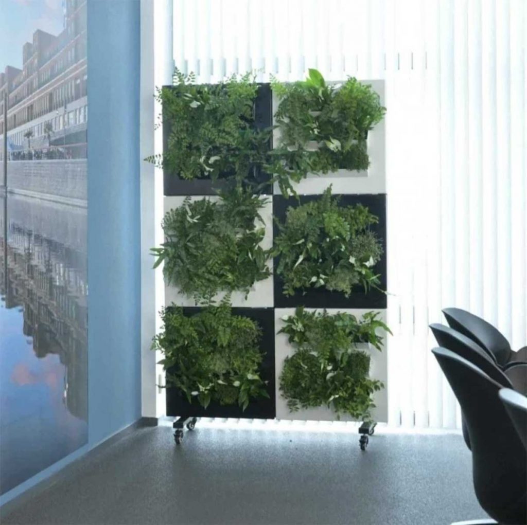 Plant filled wall panels filled with on castors to divide and separate open plan space in a modern office space