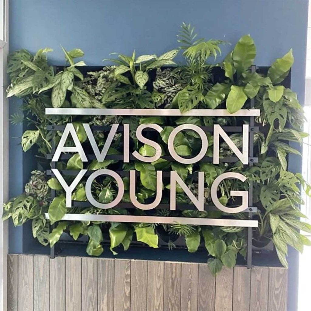 Avison Young signage designed with a living wall underneath. Mixed shape colour and texture plants for a 3D effect