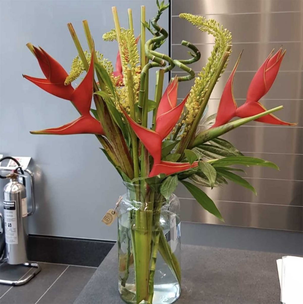 Bright orange birds of paradise, bamboo and assorted greenery bring a tropical flavour to an office reception desk