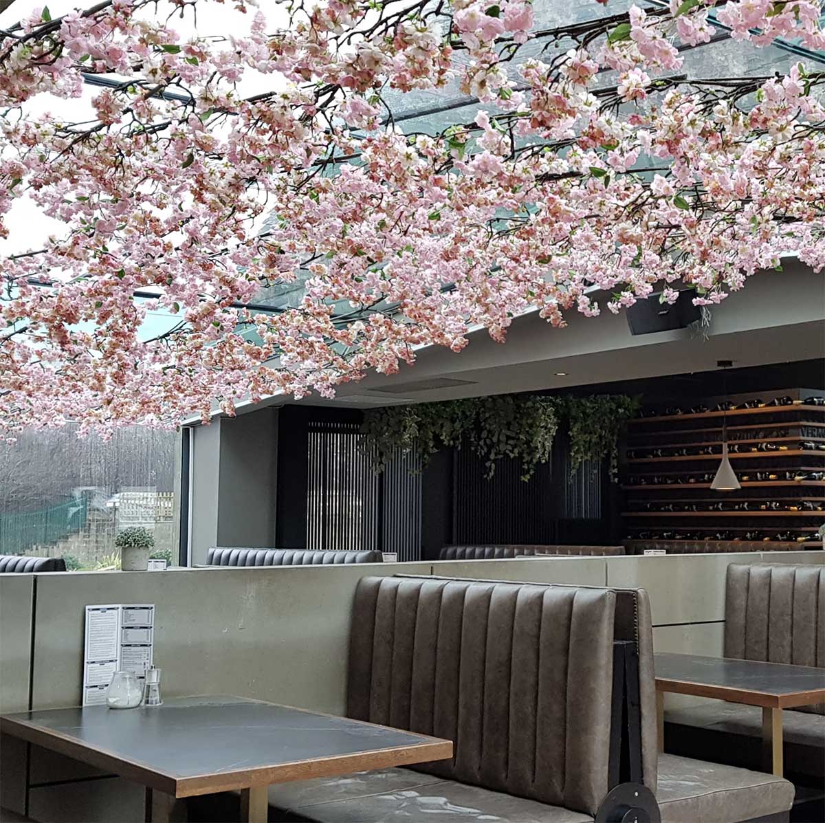 Artificial cherry blossom draped from the ceiling over booths in a restaurant with draped ivy in the background