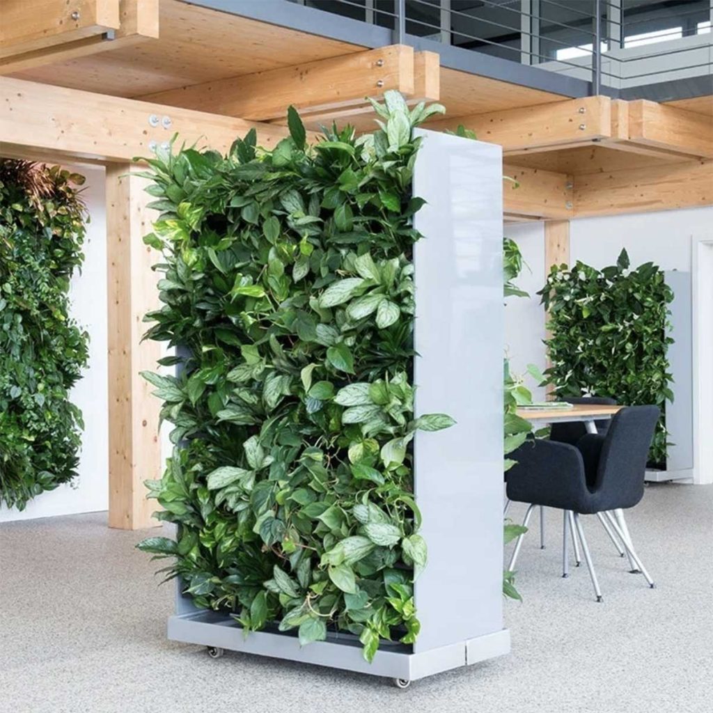 Mobile living wall panels filled with plant life to divide and separate open plan space in a modern office space
