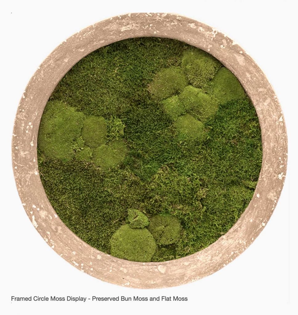 Framed circle moss display of preserved bun moss and flat moss in natural green tones and textures
