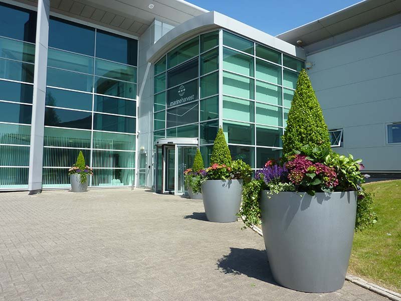 Large silver planters filled with colourful plants leading up to the entrance of a modern head office building