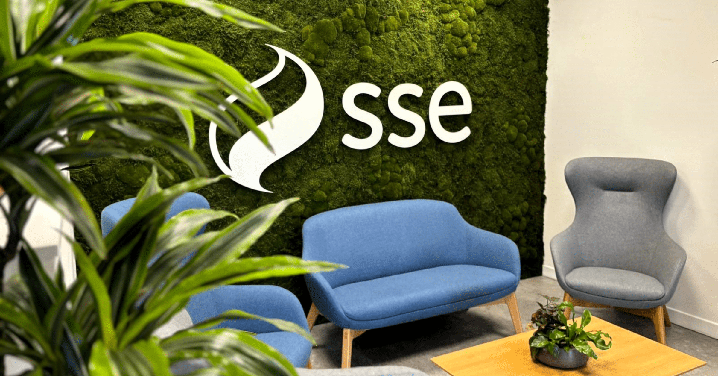 office-space-moss-wall-live-specimen-plants