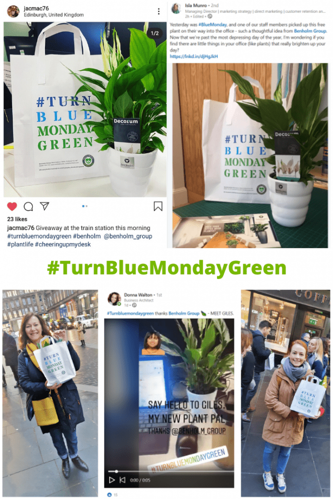 The-day-we-turned-Blue-Monday-green