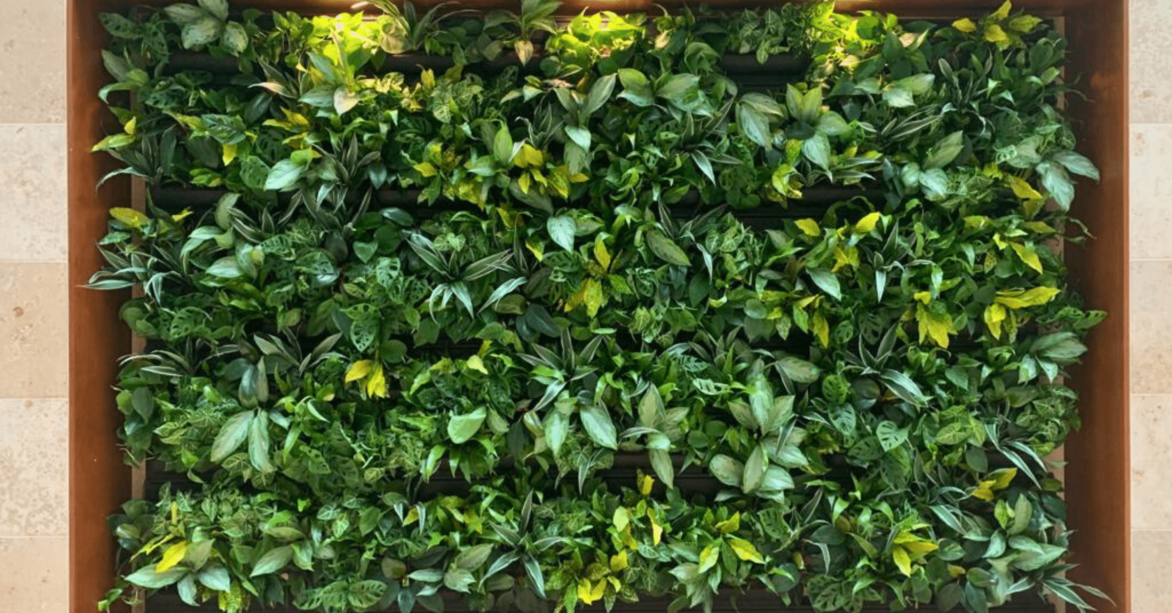 living-walls-bringing-the-outside-in-img-1