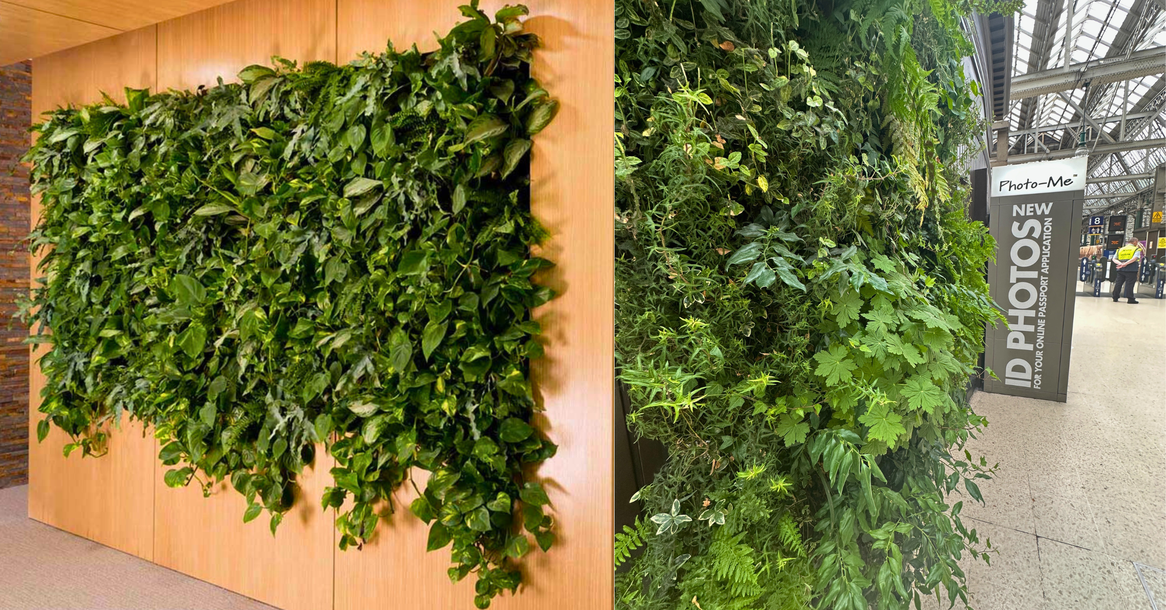 living-walls-bringing-the-outside-inside-image-3